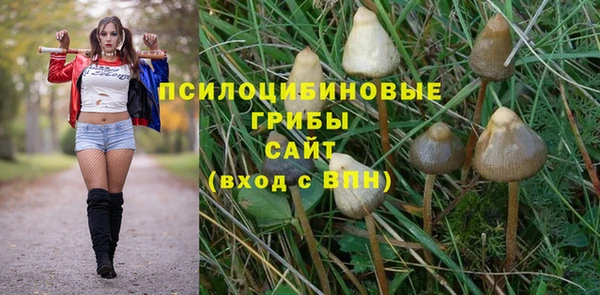 ECSTASY Алексин