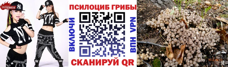 Галлюциногенные грибы мицелий  Коркино 