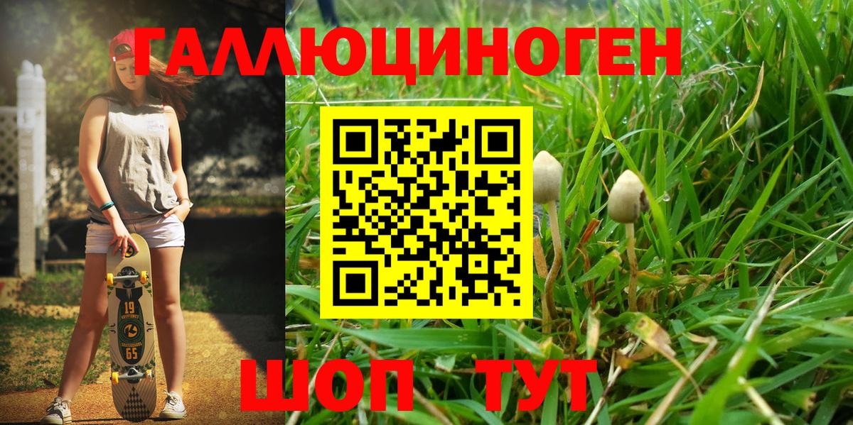 Псилоцибиновые грибы Psilocybe  что такое наркотик  Псилоцибиновые грибы мухоморы  Коркино  Вход с VPN 