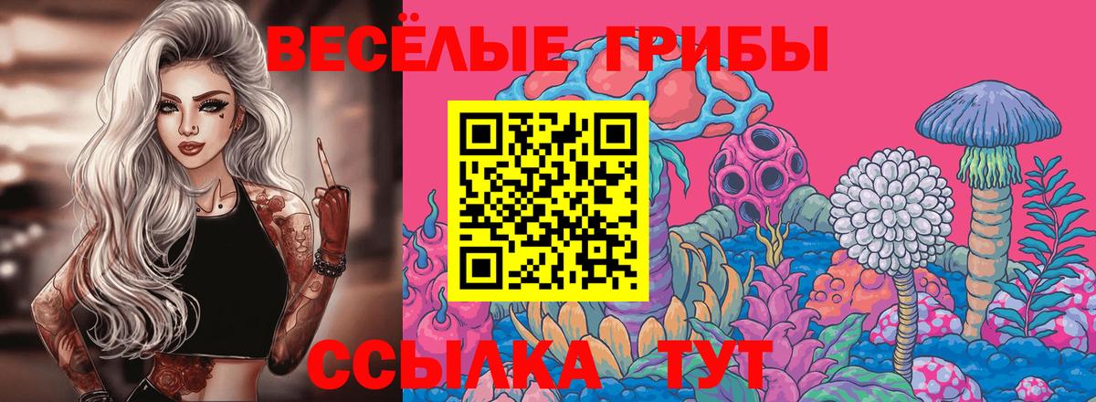 Псилоцибиновые грибы ЛСД Коркино